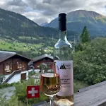 Sternschnuppe By Interhome Lägenhet *